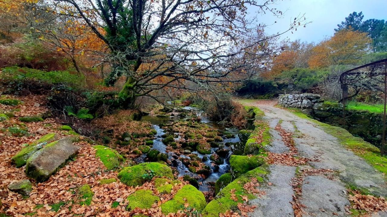 Casa Do Sertao Para 4 Pessoas -Geres Viana do Castelo Exteriör bild